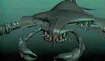 Leviathan Production Sketch